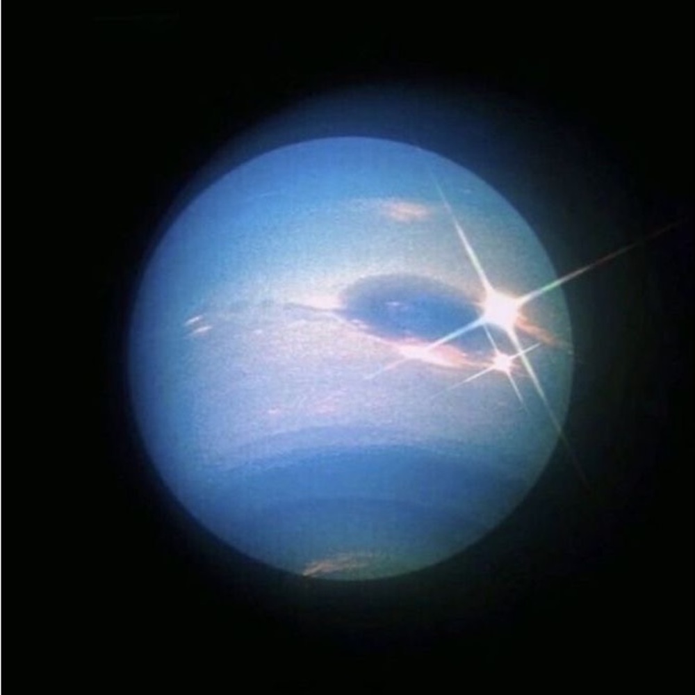 Meet your Posher, Payton